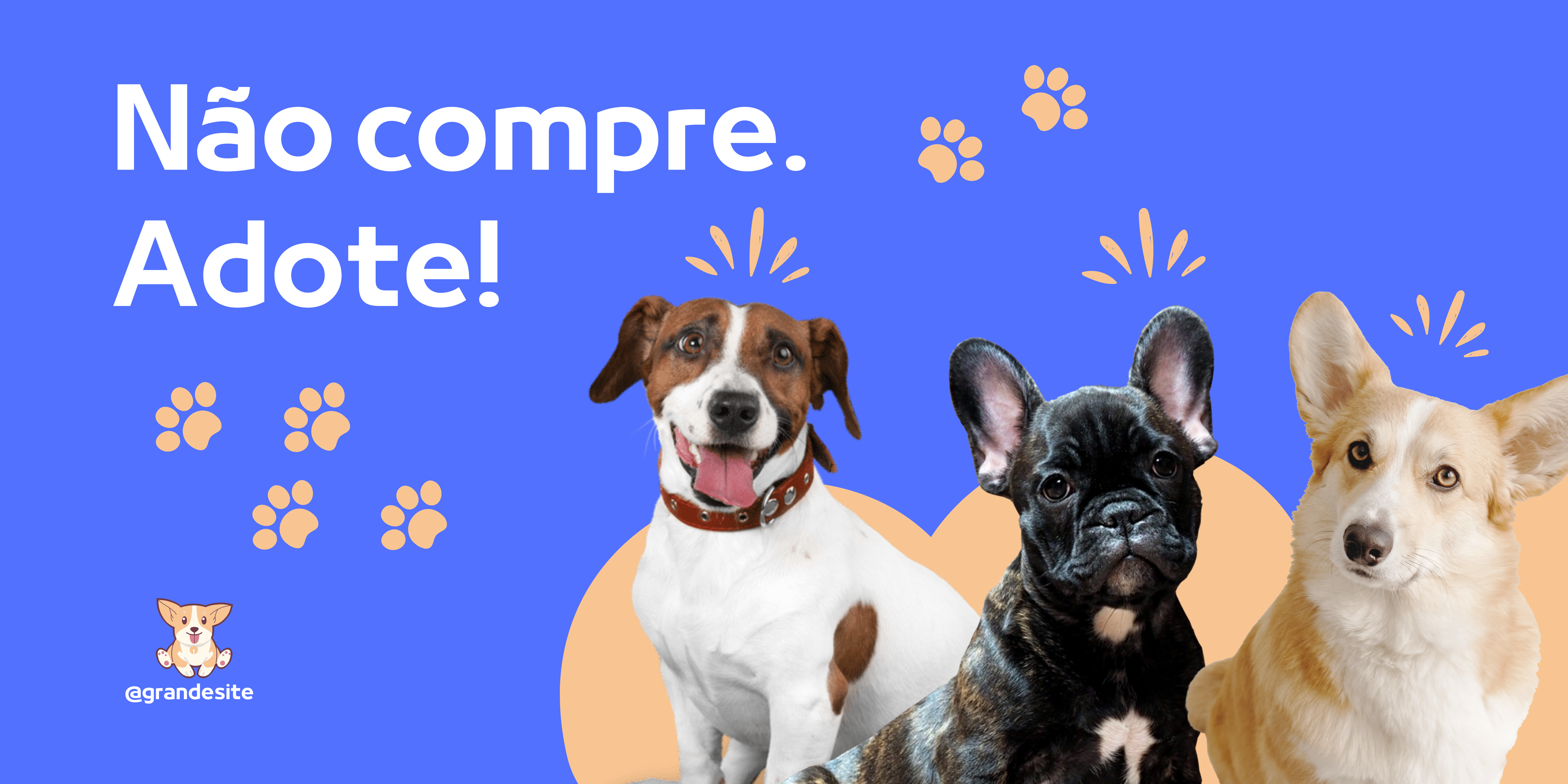 Campanha Adoção
